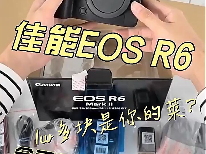 佳能CanonEOSR6,二代全画幅高端专业微单数码照相!哔哩哔哩bilibili