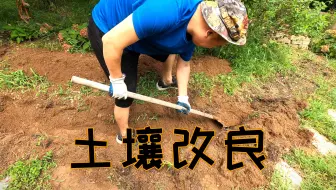 家庭种菜 分享2种安全简单的土壤消毒方法 不用农药 杀虫剂 哔哩哔哩 Bilibili