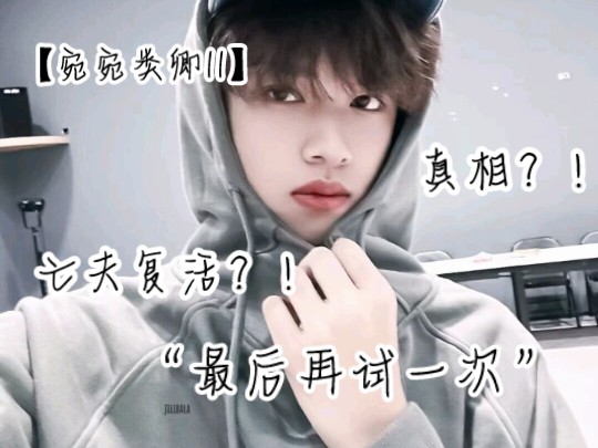 【宛宛类卿11】"最后再试一次"【张极×你|做梦素材】
