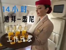 Video herunterladen: 14小时飞行从迪拜到悉尼，阿联酋空姐工作全记录