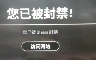 Steam账号被封禁 搜索结果 哔哩哔哩 Bilibili