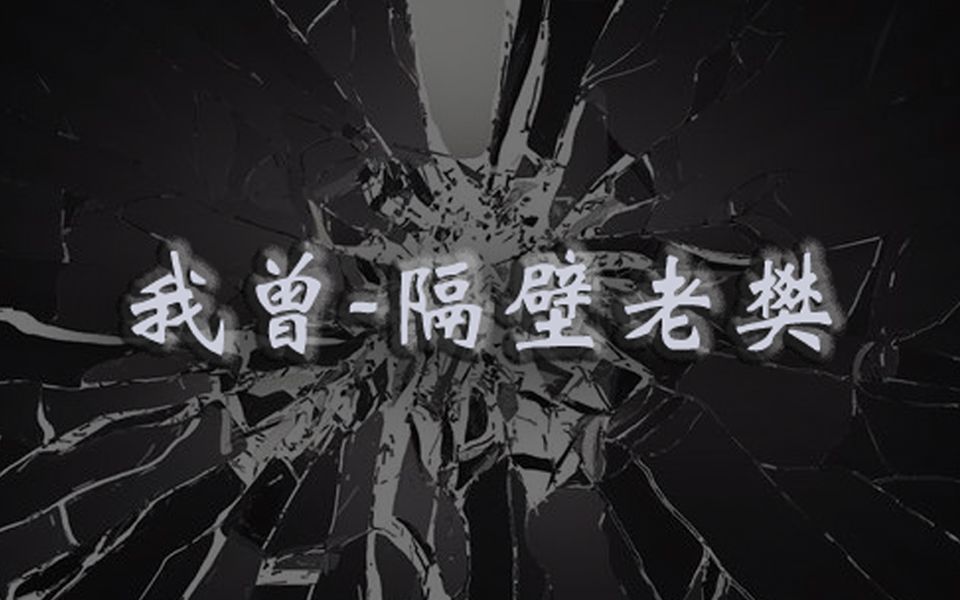 隔壁老樊 我曾 我曾把完整的镜子打碎