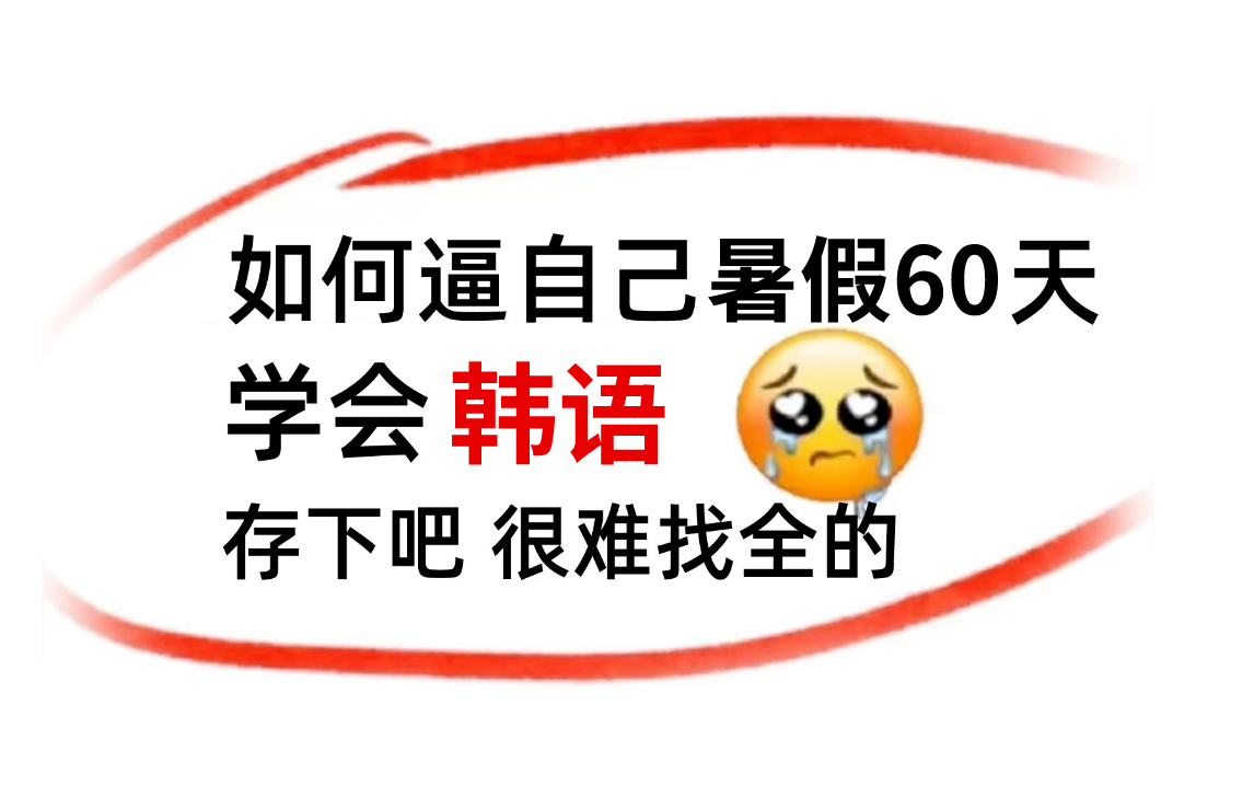 【韩语精华版教程】暑假60天如何逼自己快速学会韩语?!全干货无废话!还学不会我永久退出韩语圈!哔哩哔哩bilibili