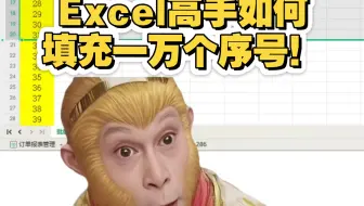 Excel高手如何填充一万个序号！