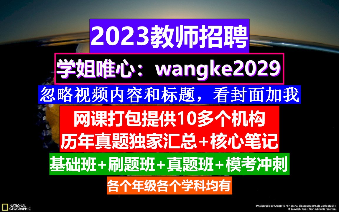 2023全国教师招聘小初高数学,教师考编培训机构排名,教师招聘网课哔哩哔哩bilibili