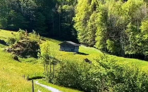 [图]【治愈系风景】今天听歌，风景其次，一首Florence,安静美好，带你开启美好一周