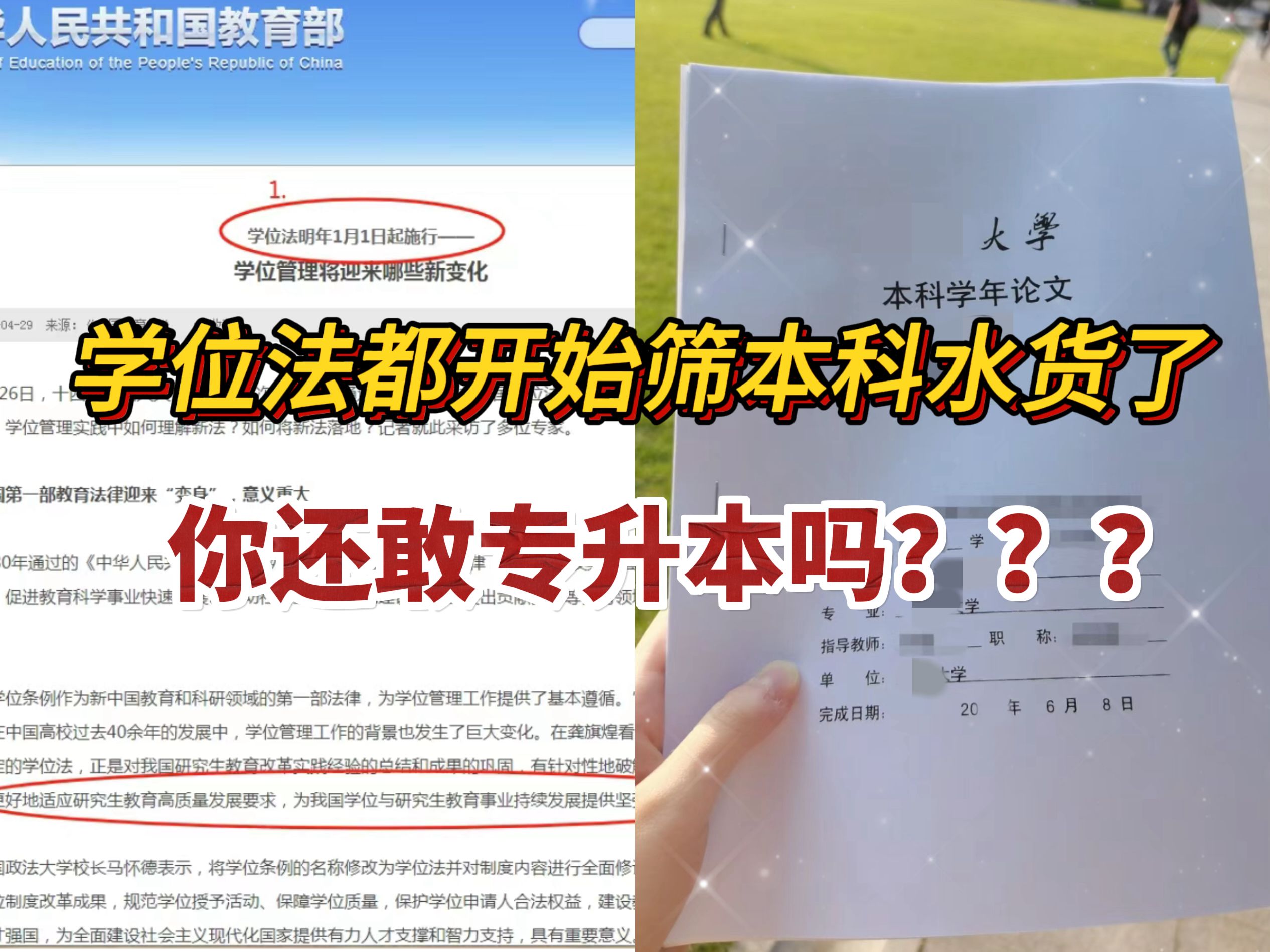 学位法扼死学历升级捷径,本科学位证撤销率提高300%,还有必有专升本吗?哔哩哔哩bilibili