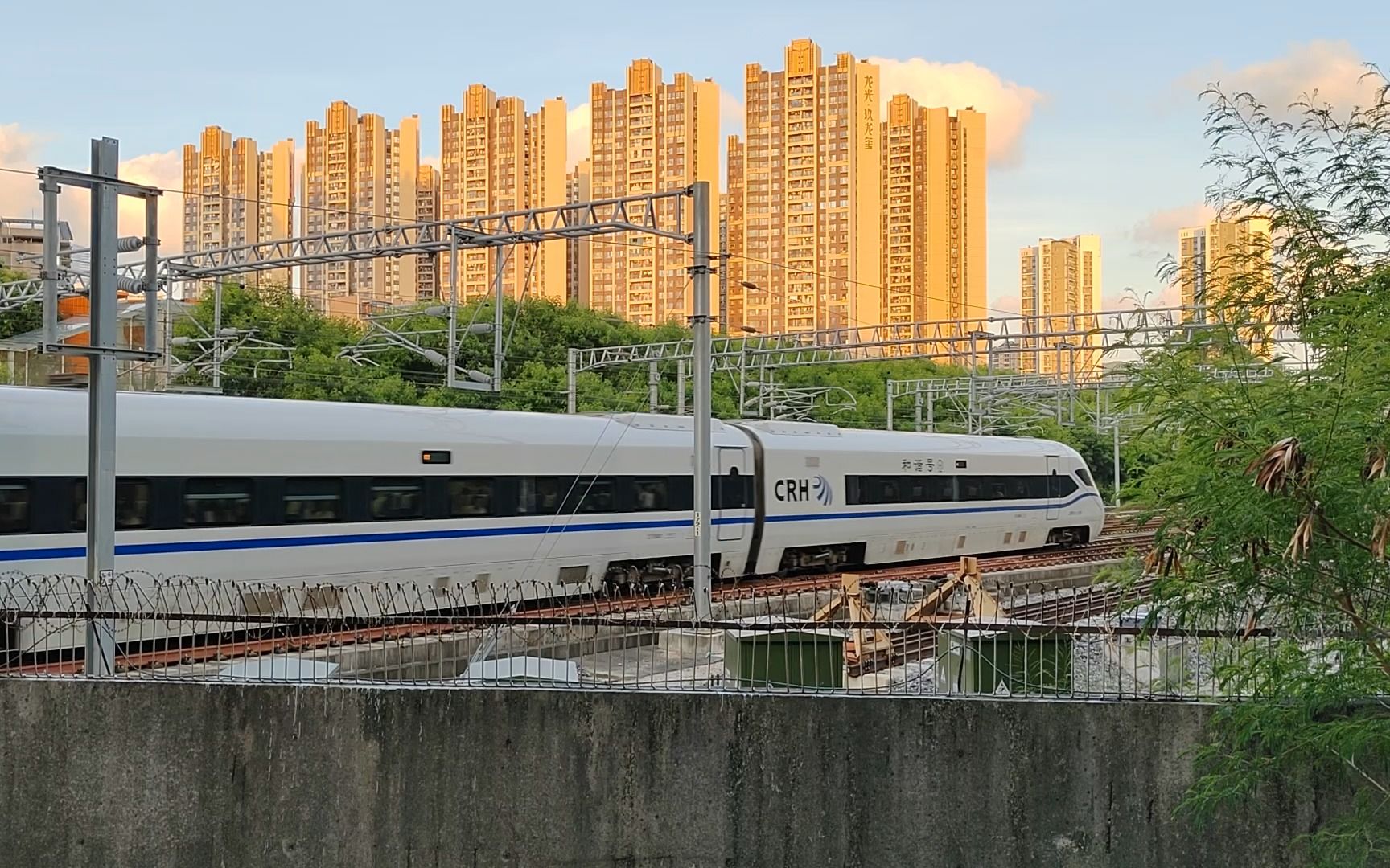 2023年8月5日,d7431(汕头-惠州北)深圳北站进站.
