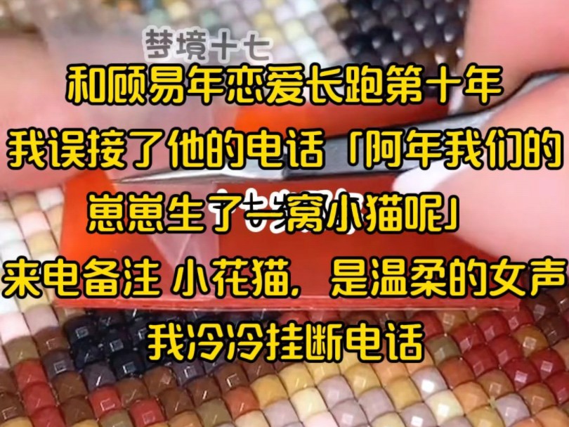 [图]和顾易年恋爱长跑第十年，我误接了他的电话「阿年我们的崽崽生了一窝小猫呢」来电备注 小花猫，是温柔的女声，我冷冷挂断电话