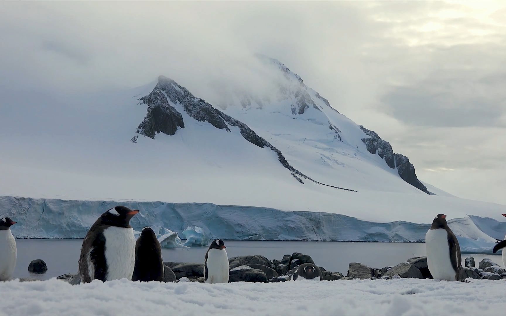 [图]南极·Antarctic｜"世界本就是海洋，旷野，雪山与天空"