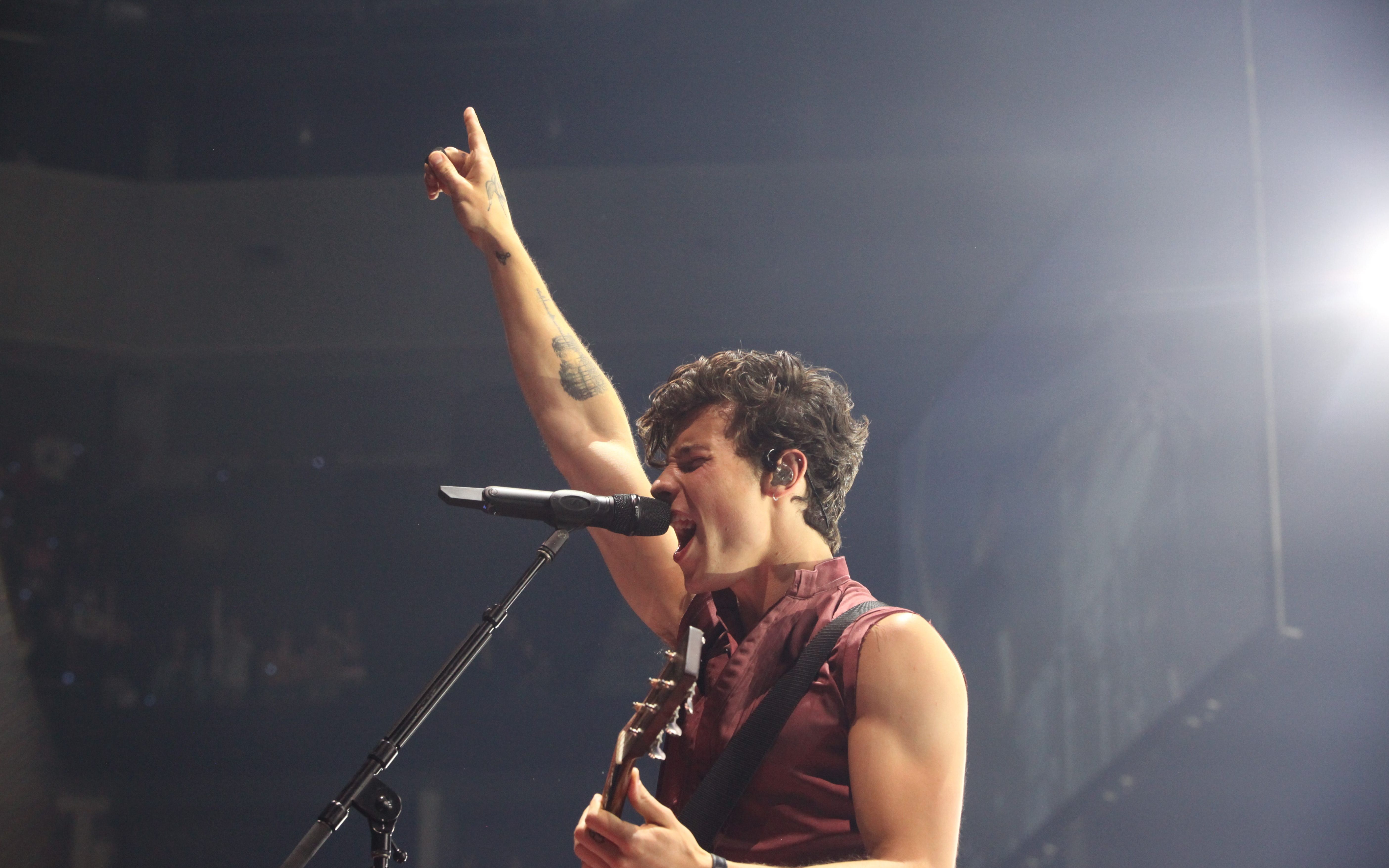 活动  肖恩·门德斯:巡回演唱会