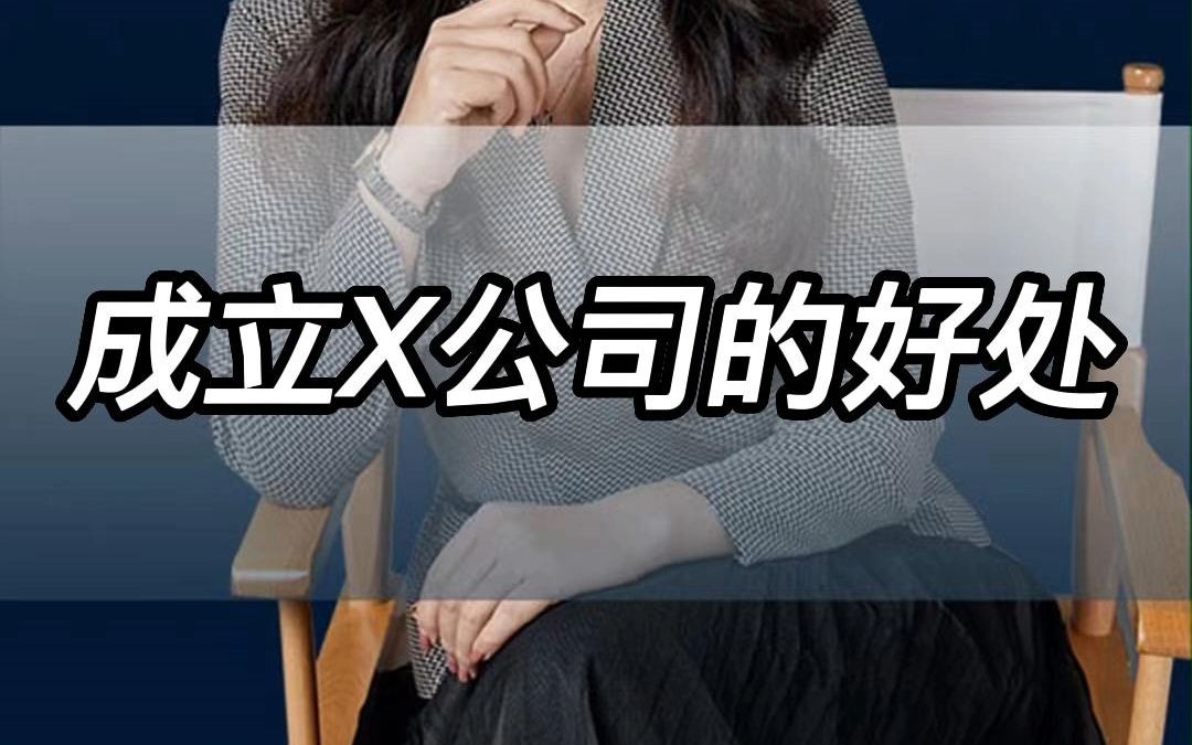 成立X公司的好处哔哩哔哩bilibili