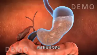 食物消化全过程 胃是怎么消化食物