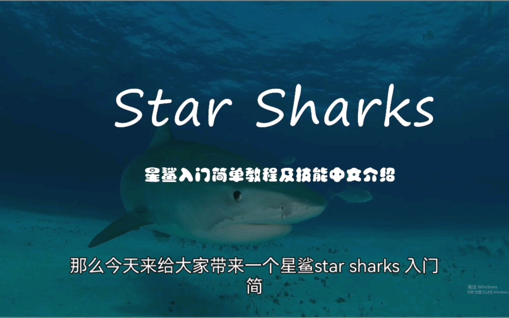 【魄罗君】StarSharks全网最全星鲨入门教程、选宠及中文全技能介绍教程