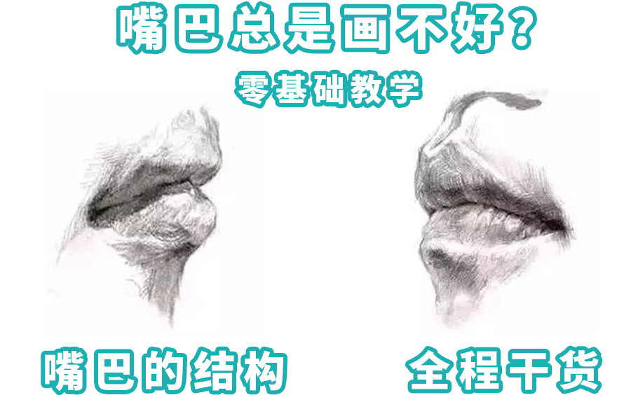 【零基础】素描超详细人像嘴巴结构示范讲解全程手绘干货哔哩哔哩bilibili