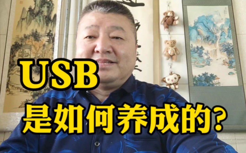 USB是如何养成的?哔哩哔哩bilibili