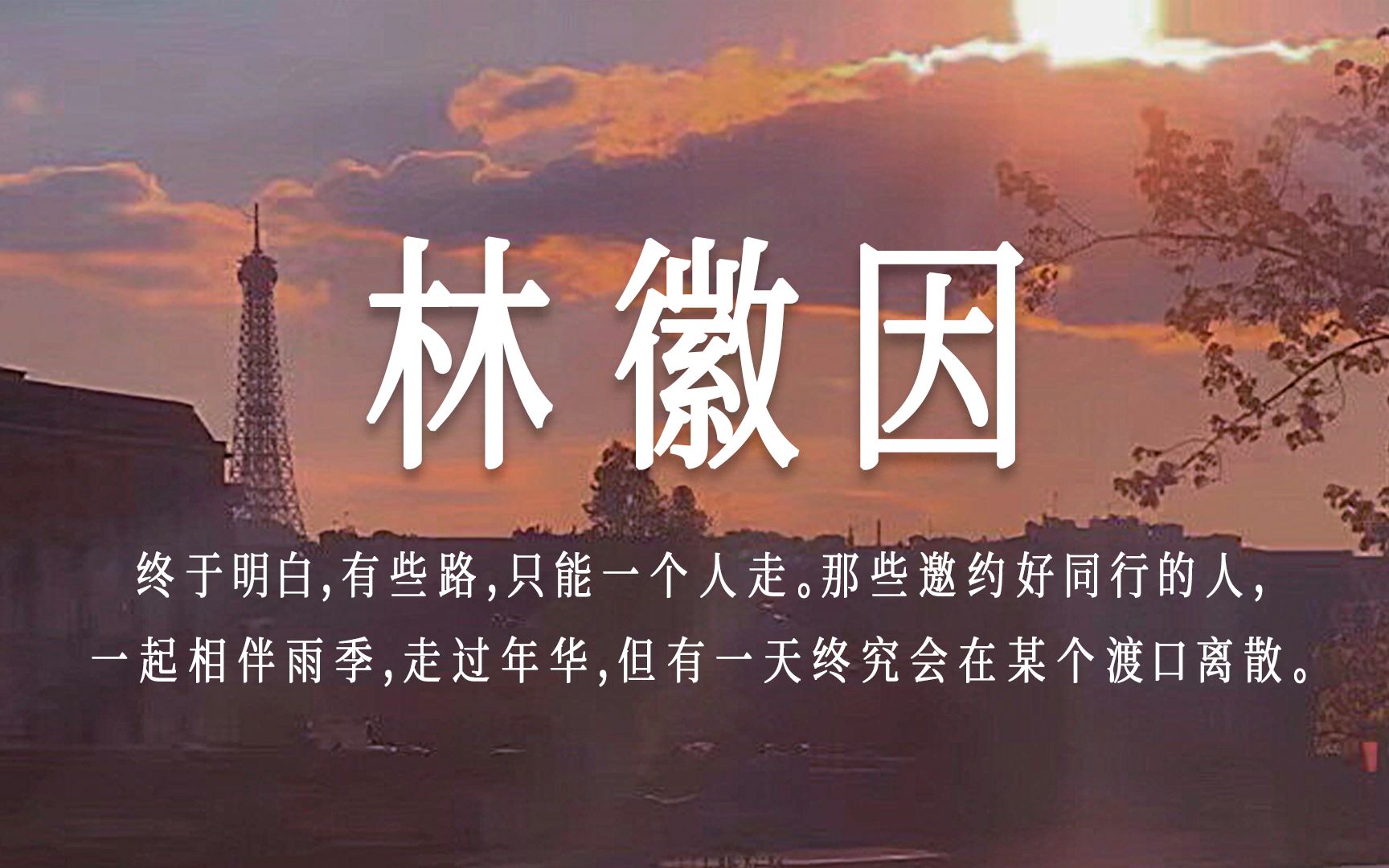 句摘【林徽因】| 一身诗意千寻瀑,万古人间四月天!哔哩哔哩bilibili