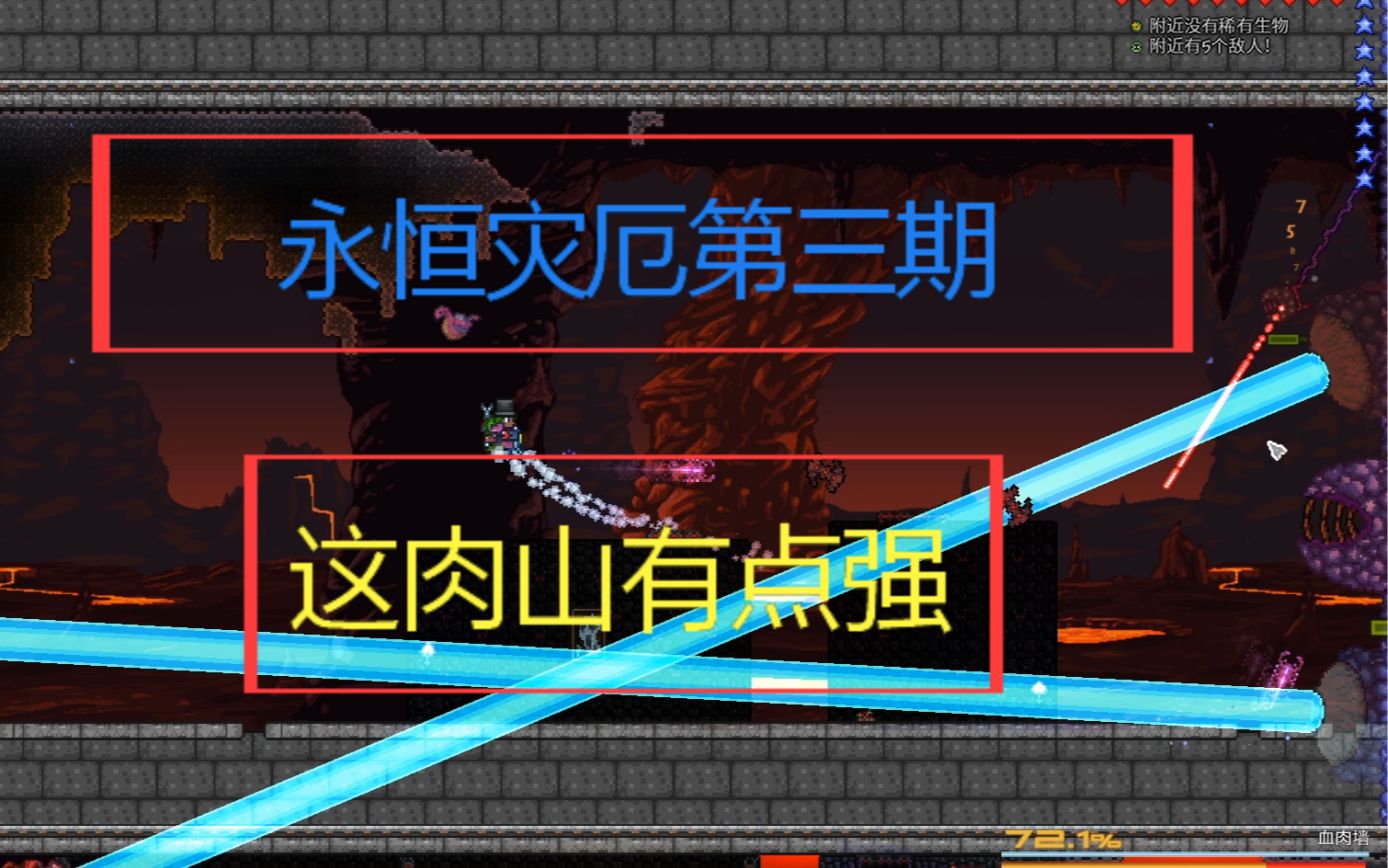 活动作品泰拉瑞亚这永恒模式肉山有点恶心心