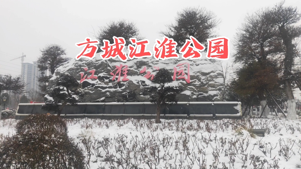 河南方城江淮公园,占地105亩,雪景如绣球.又叫好人公园哔哩哔哩bilibili