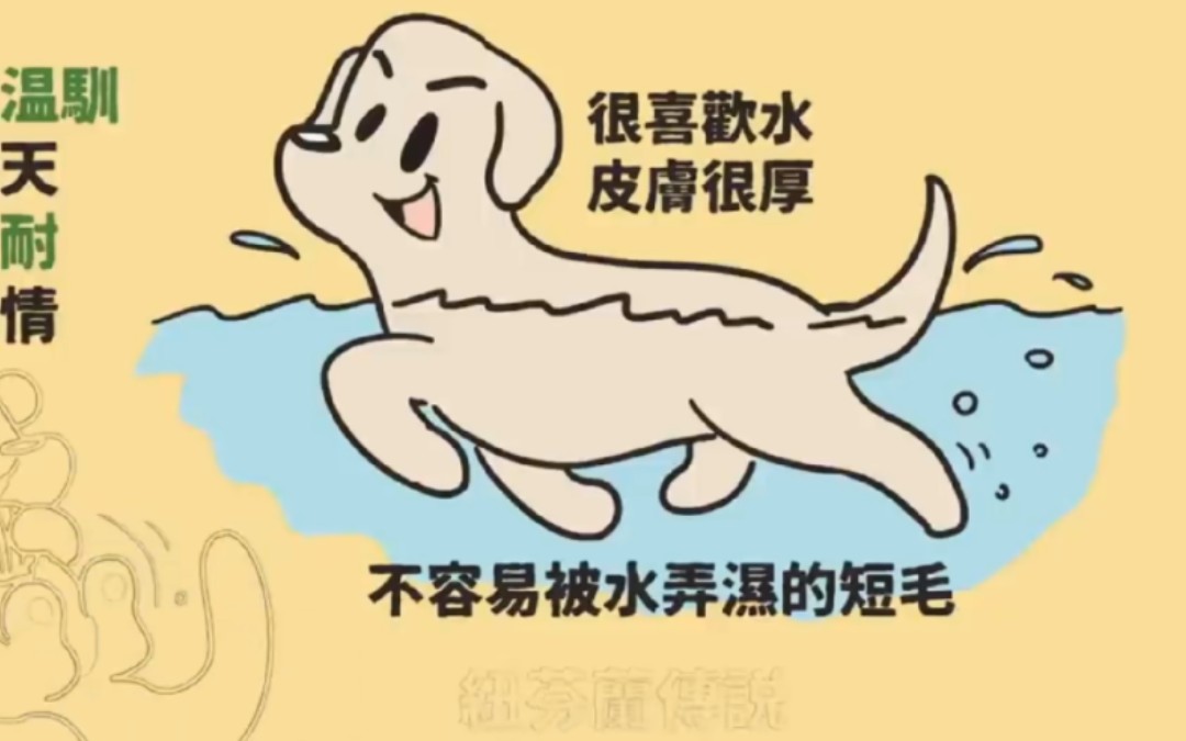 养狗.知识.dog.哔哩哔哩bilibili