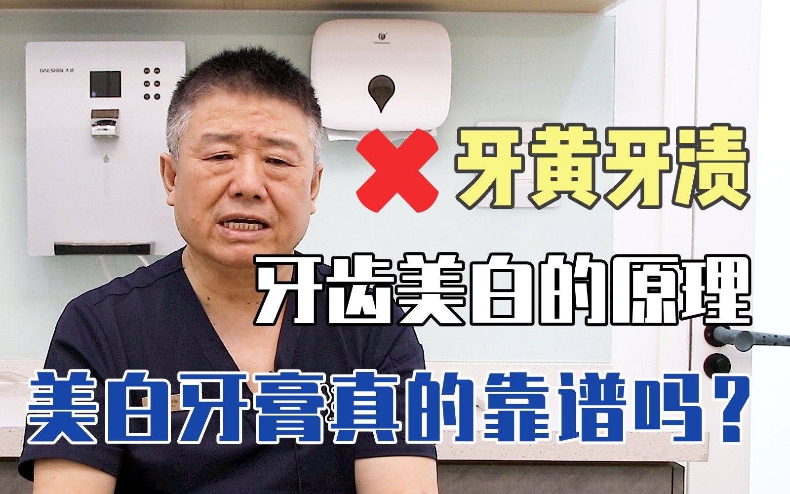 牙白木有什么功效(牙白木功效大揭秘快来了解吧)