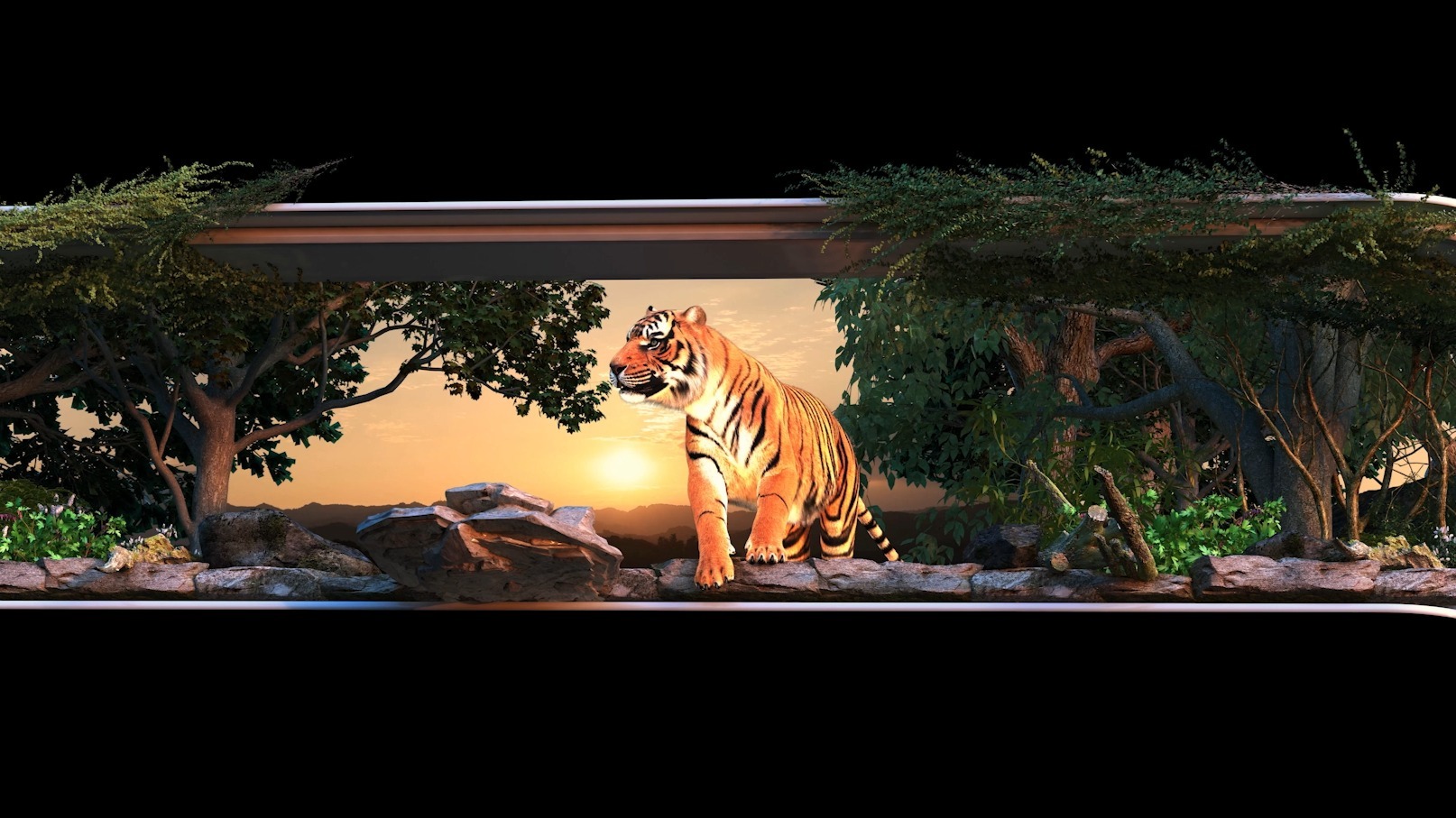 优秀裸眼3d宣传片分享