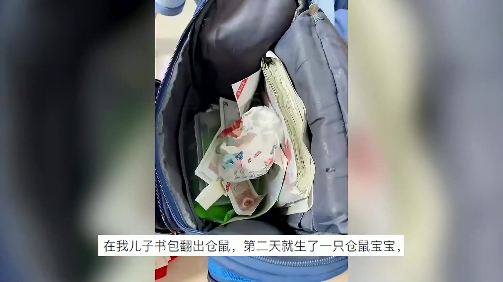 7岁儿子书包凌乱,妈妈竟在底部翻出一只仓鼠,第二天