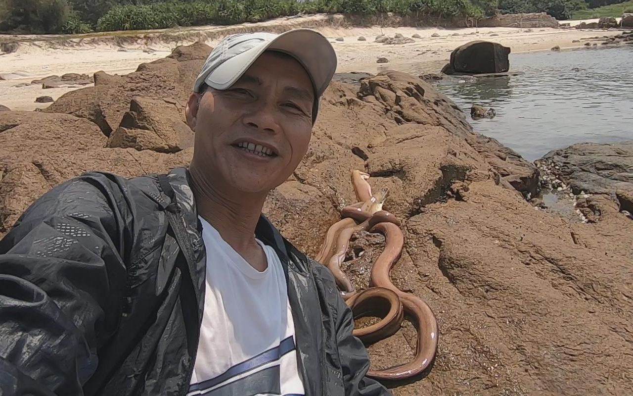 海边涨潮不少大货被冲上岸,阿文赶海来得真及时,一下碰上三大条