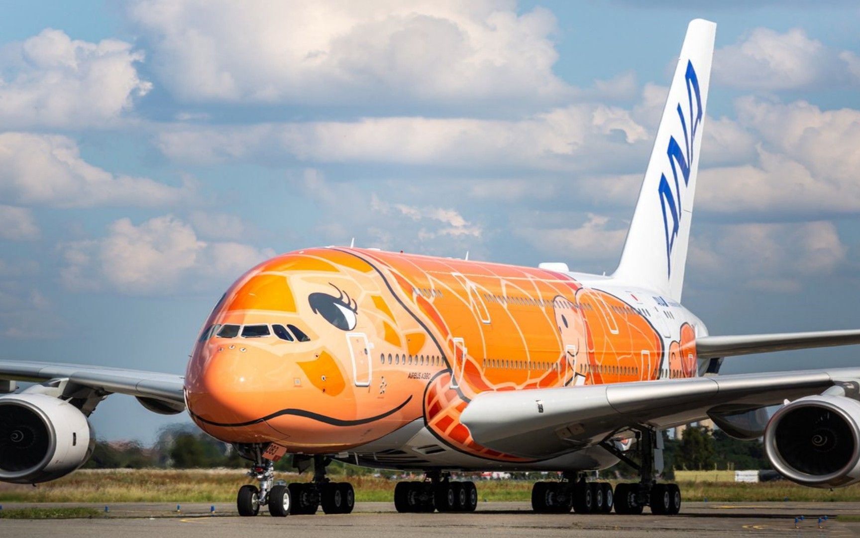 飞机的机体颜色也有讲究吗?为何基本都是白色的外形,原因是什么