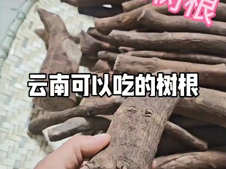 木姜子根是这样的