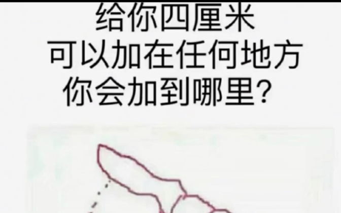 [图]小猫我的网络魔怔曲吗老弟