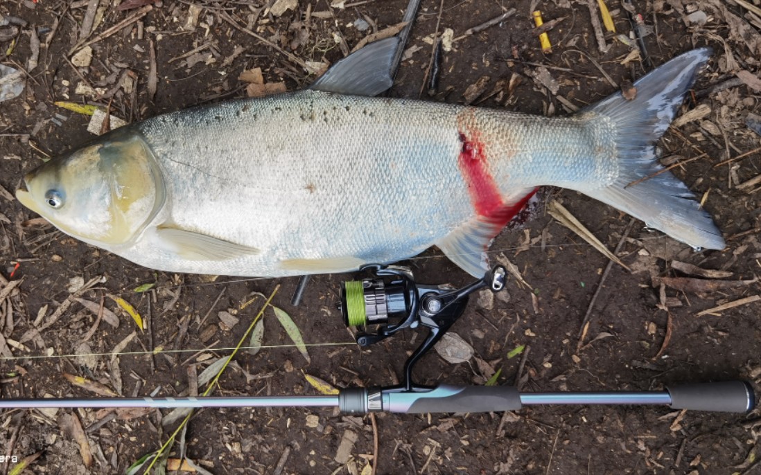 樱甲直柄路亚竿暴力起鱼车中包头白鲢鱼