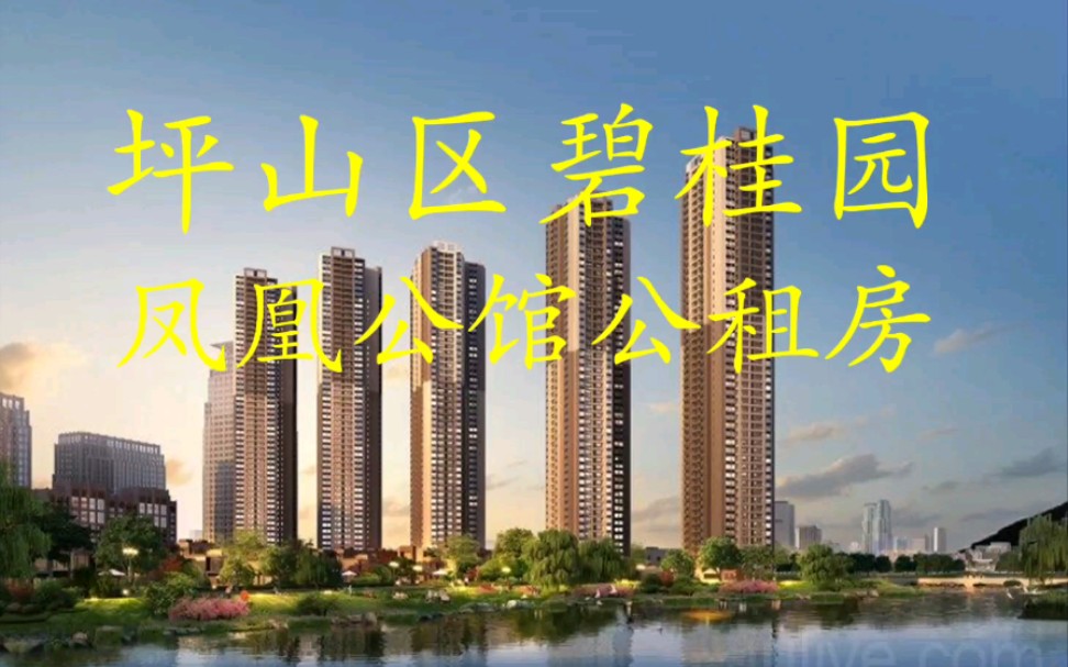 深圳坪山区碧桂园凤凰公馆公租房深圳公租房申请