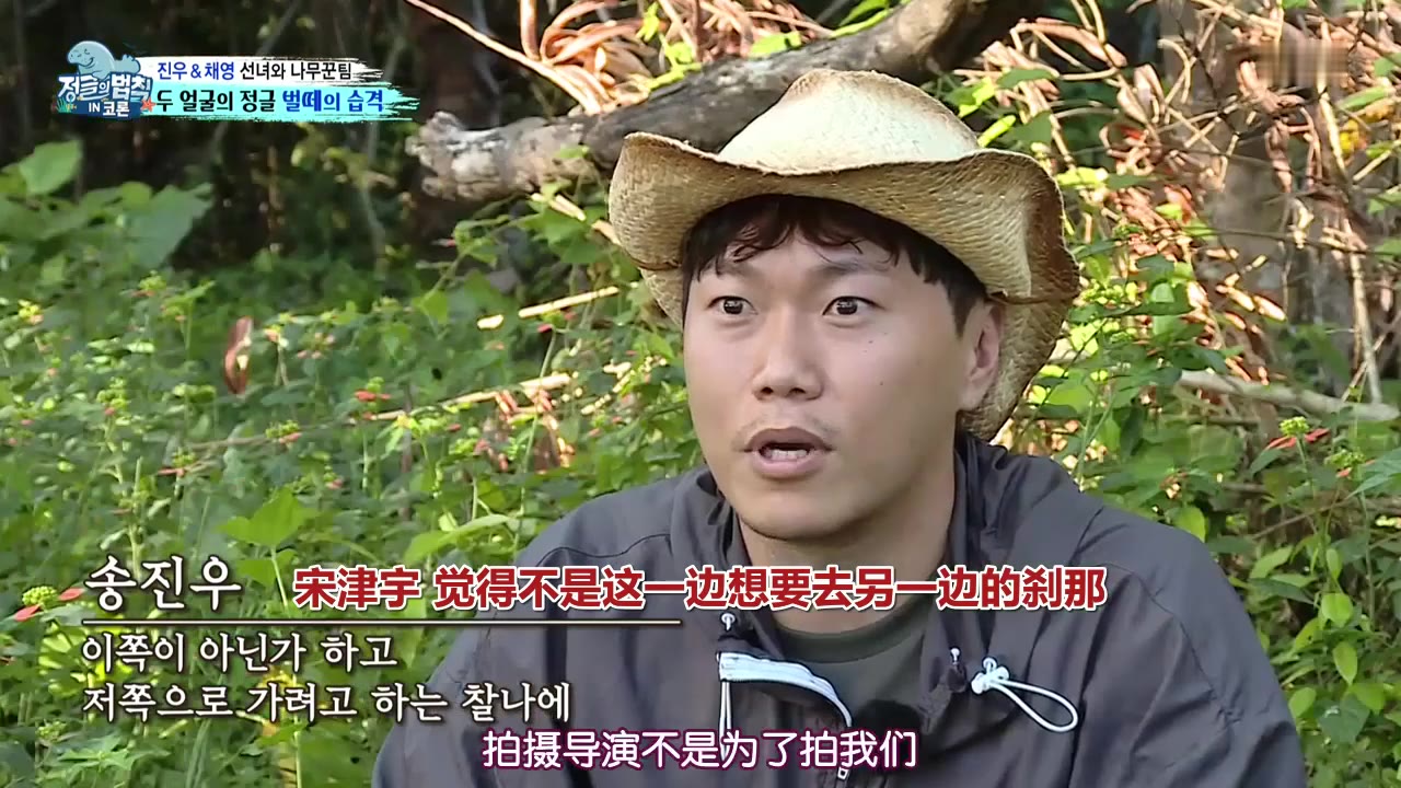 《金炳万的丛林法则》e412.200516,p11