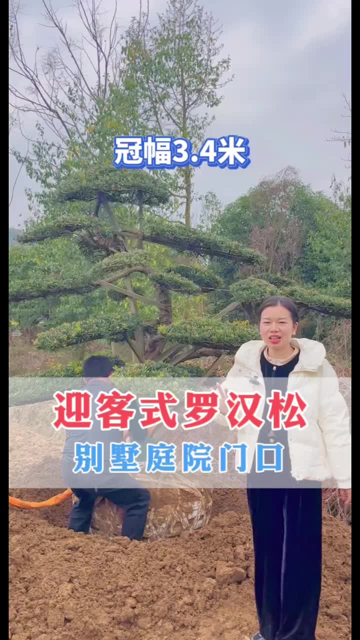 人美不美在骨 树好不好看在型哔哩哔哩bilibili