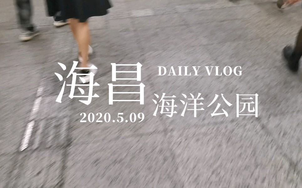 Vlog‖上海海昌海洋公园一日游附攻略哔哩哔哩bilibili