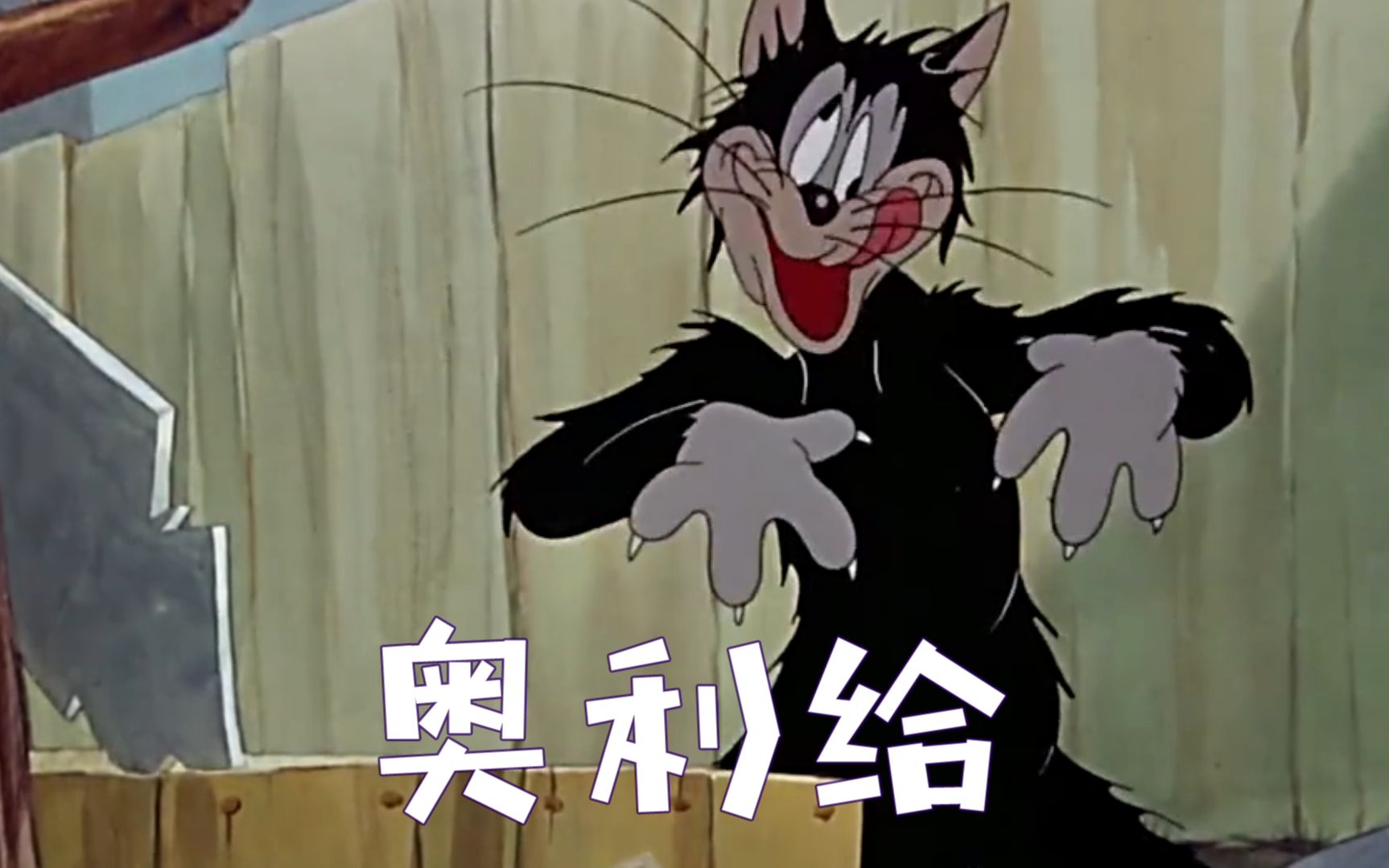 奥利给!搞事情版猫和老鼠,开口就是四川话