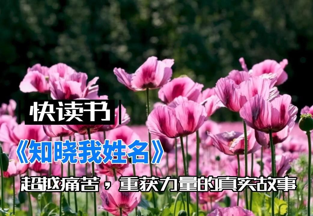 [图]《知晓我姓名》：超越痛苦，重获力量的真实故事