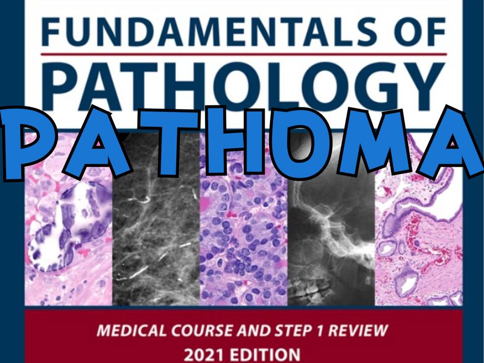 病理学 PATHOMA: Pathology USMLE STEP REVIEW STEP1-PATHOMA-USMLE-双语字幕-全集_哔哩哔哩_bilibili