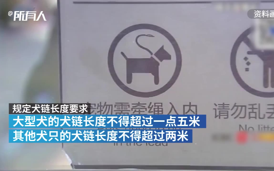 宁波出台养犬条例:严禁遗弃虐待,遛大狗要戴嘴套等哔哩哔哩bilibili