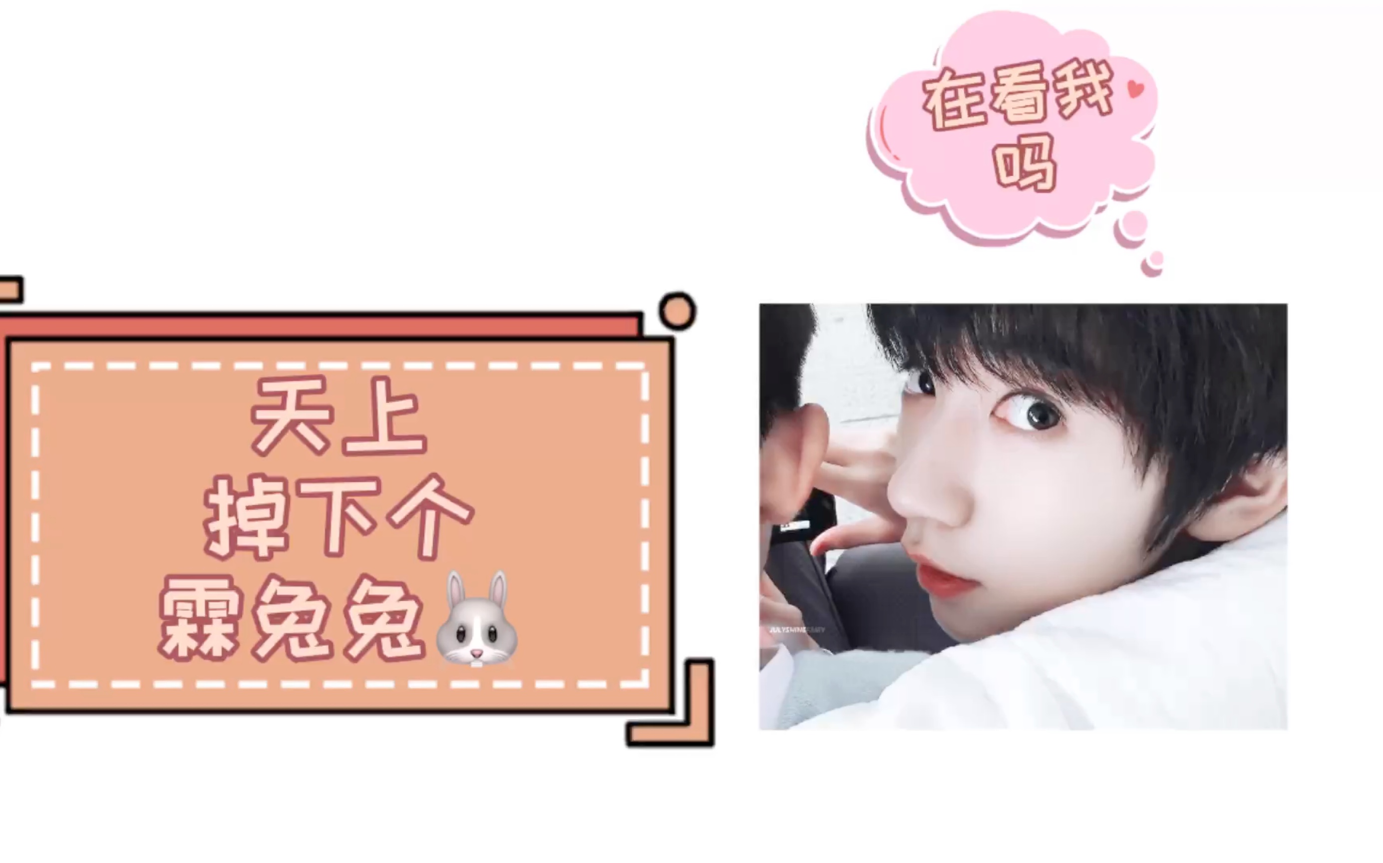 贺峻霖|一只不承认自己是兔子精的兔子精