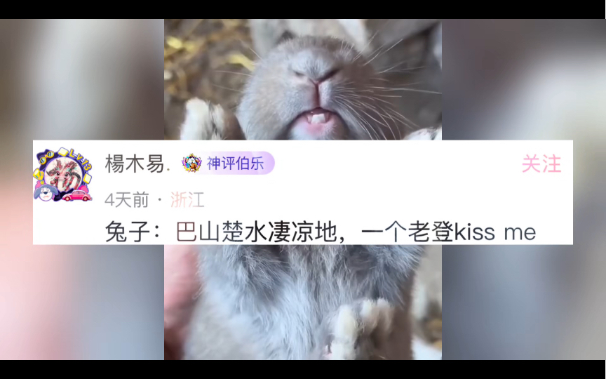 网络搞笑神评:巴山楚水凄凉地,一个老登kiss me哔哩哔哩bilibili