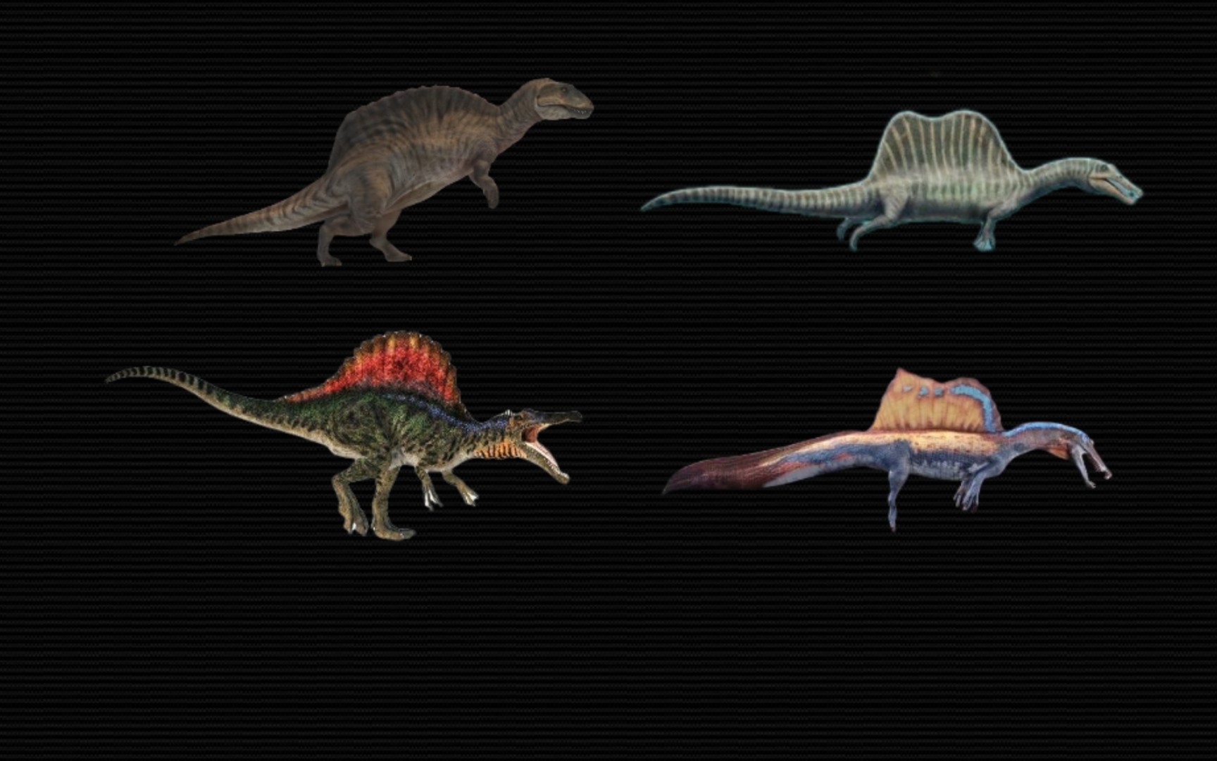 棘龙进化图图片