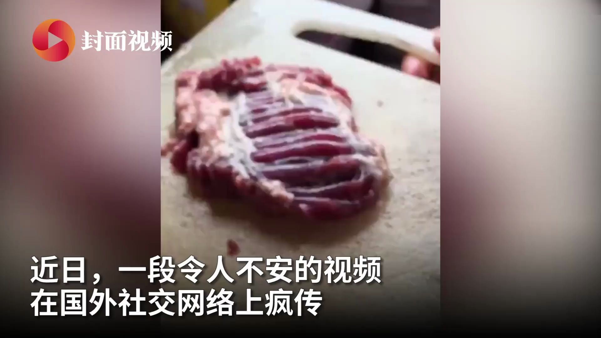 [图]肉：我觉得我还能再抢救一下……