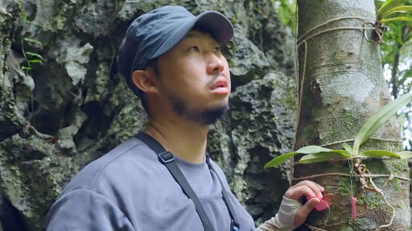 狐主任在西双版纳热带植物园圆梦了-中国国家地理-中国国家地理-哔哩哔哩视频