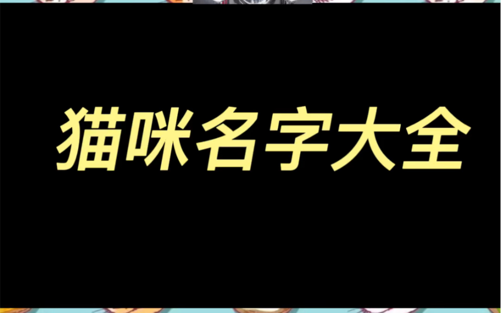 猫咪名字大全哔哩哔哩bilibili