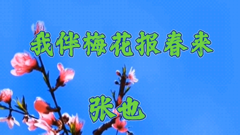 张也的经典老歌《我伴梅花报春来》歌声悠扬婉转,优美动听