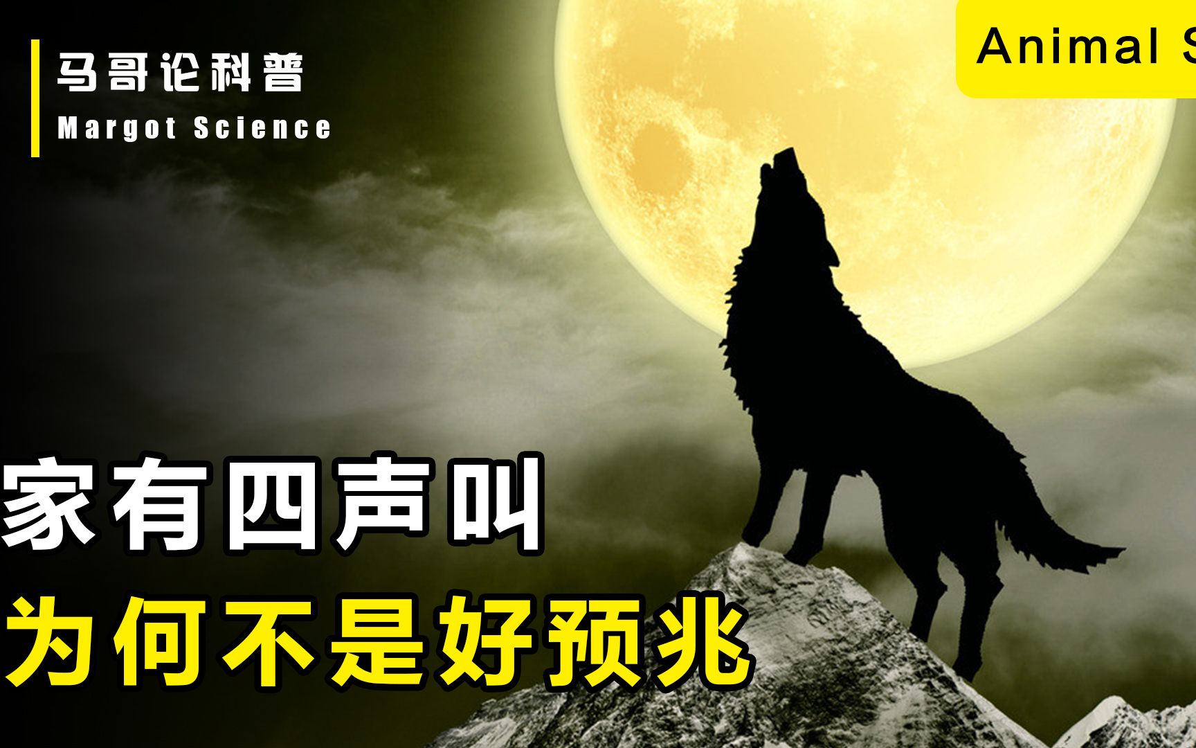 [图]“家有四声叫，不是好预兆”，具体是指哪“四声叫”？有依据吗？