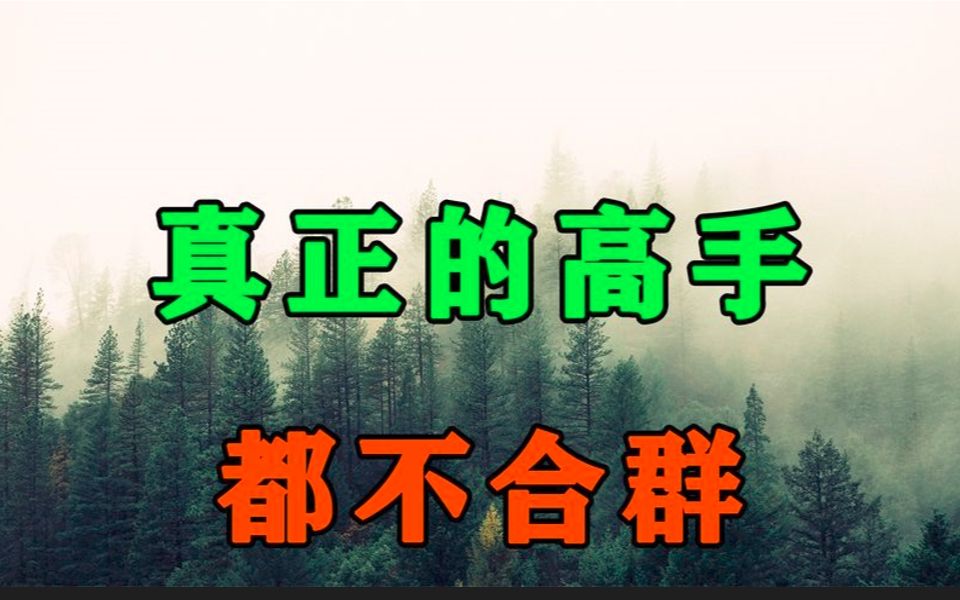 为什么越是高手,越不合群?真正的高手往往很少社交!哔哩哔哩bilibili