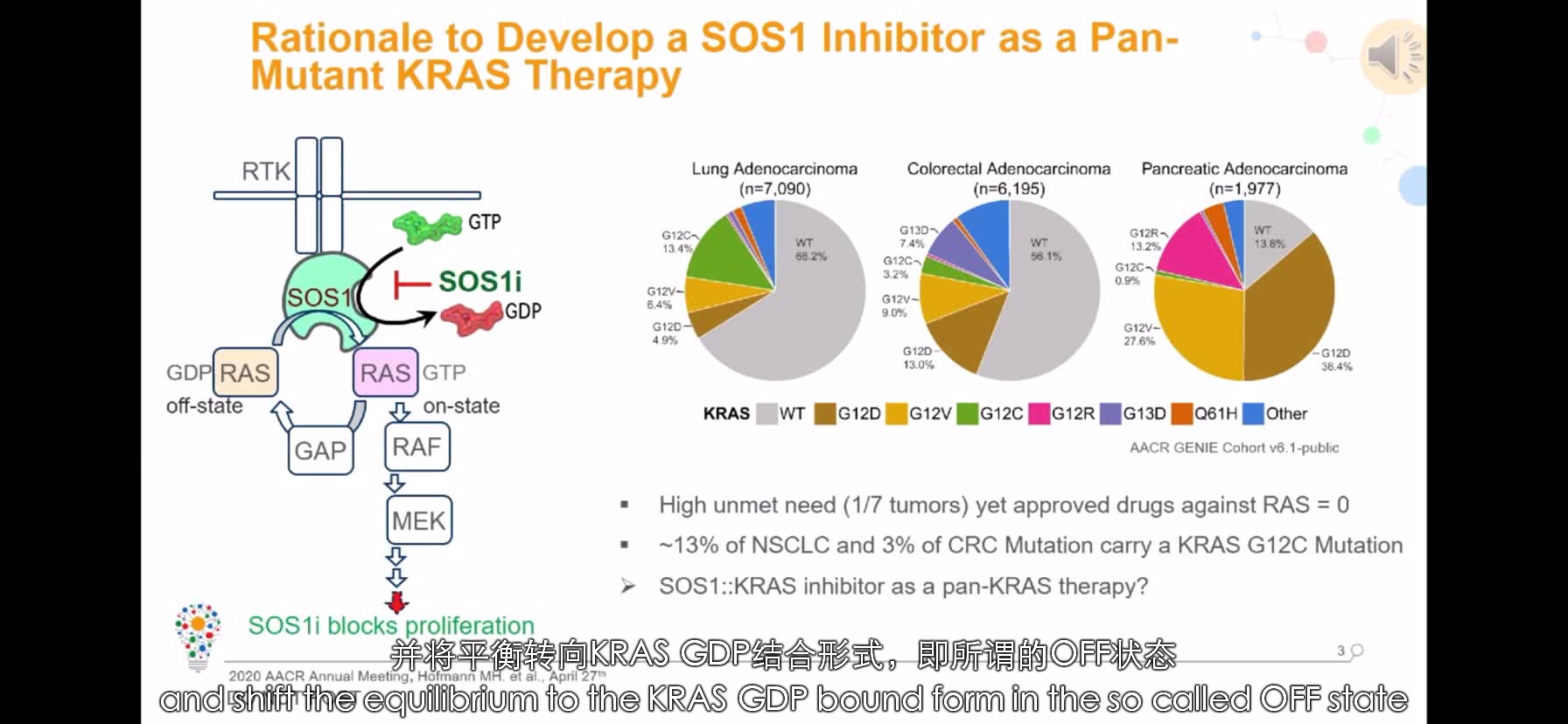 【中英文字幕】2020 AACR会议上 SOS1 抑制剂的presentation哔哩哔哩bilibili